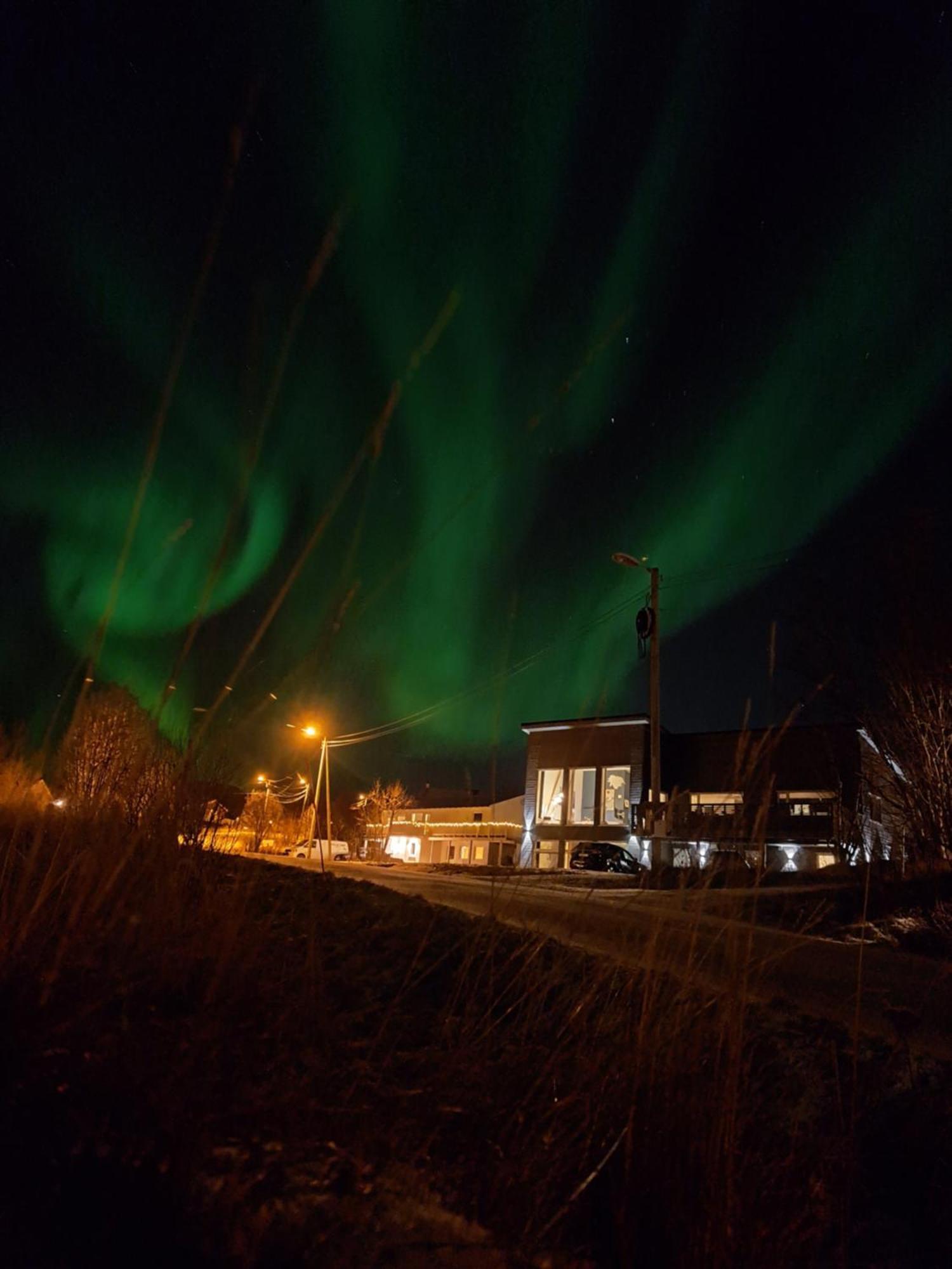 The House Of Aurora II Apartment Tromso Phòng bức ảnh